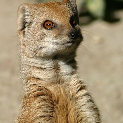 Chapitre 10 (Partie 1)