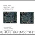 609 - inventaires Haute PAPENOO / FARE HAPE / Tahiti 