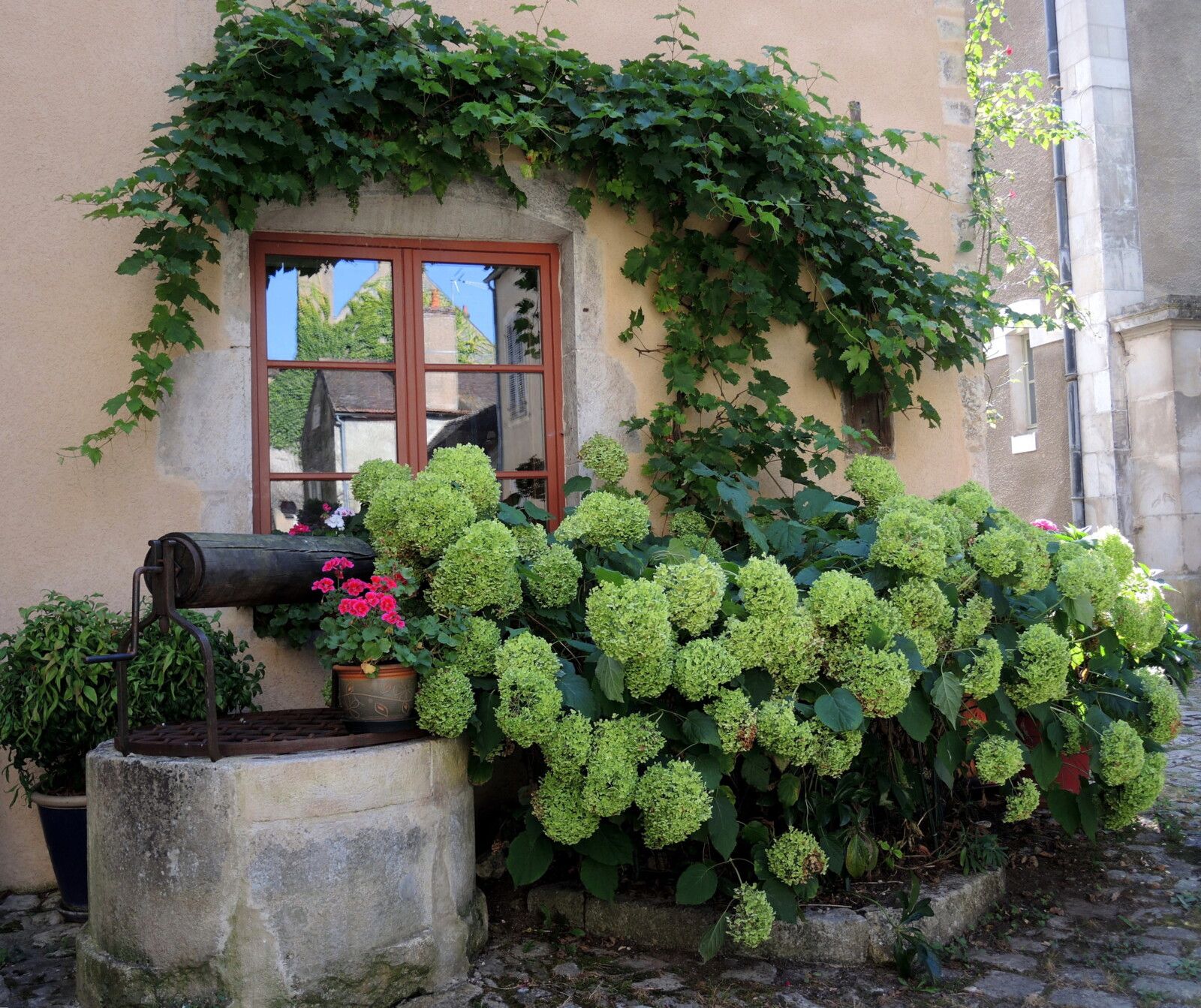 Noyers-sur-Serein, puits fleuri (89)