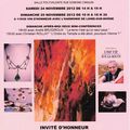 CARREFOUR DES ARTS - LOIRE SUR RHONE - Les 24 et 25 NOVEMBRE 2012 - Salle Polyvalente - Rue Edmond Cinquin (24ème EDITION).