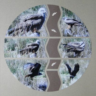 Parc Ornithologique du Teich - 6