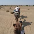 Safari en chameau