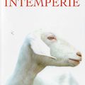 Intempérie