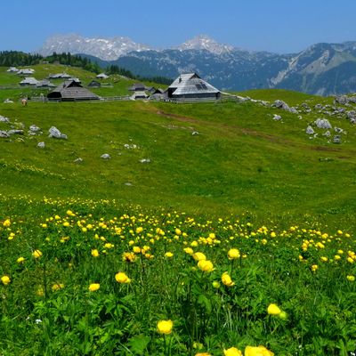 Quelques jours de vacances... Slovénie jolie... Velika Planina...
