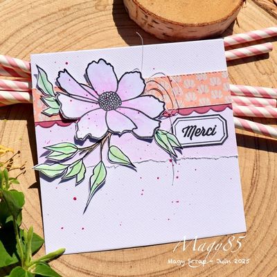 Une jolie fleur pour un lift !