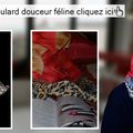 Foulard douceur féline