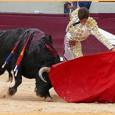 istres - Christian Parejo déçu...