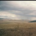 Sortilège de Christian Jougla: entre La Colline de Giono et Les Hauts du Hurlevent d'E. Brontë