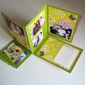 Mini album