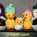 famille canards