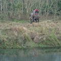 Le parc national de Chitwan.