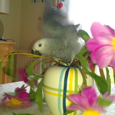 Bonne fête des mères à toutes les mamans !