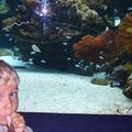 aquarium de Nouméa