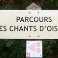 Parcours des chants d'oiseaux