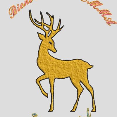 BIENVENUE  à Emma et Michel