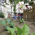 Jardins d’enfants, les jeunes pousses à l’école chinoise