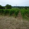 Visite au Clos de la Barbanne : Montagne Saint Emilion