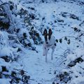 Dayton mon whippet dans la neige