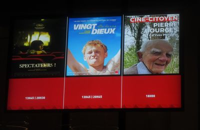 "Le Gyrovague de Quineleu" au cinéma L'Arvor le 18 janvier 2015