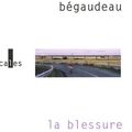 La blessure la vraie, François Bégaudeau