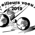 Meilleurs Voeux 2019