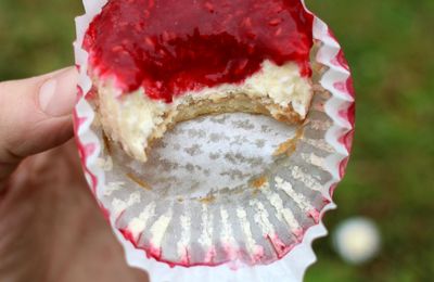 Mini cheesecakes individuels