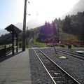 Croisement au col de Voza