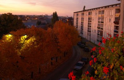 les couleurs d'automne