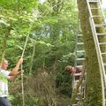 Installation de la cabane 