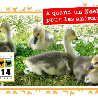 L'envers de la médaille ...