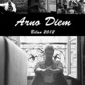 Arno Diem. Petit bilan 2012