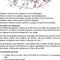 appel a candidature "Guinguettes de rue"