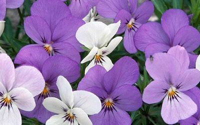 La vie en couleur #3