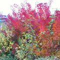 La vallée de l'Oise sous les couleurs d'automne