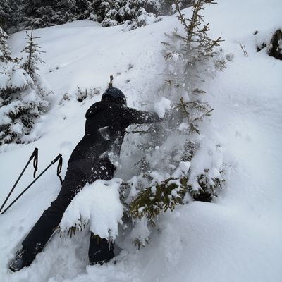 Jeudi à la montagne 