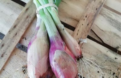 Panier de la semaine