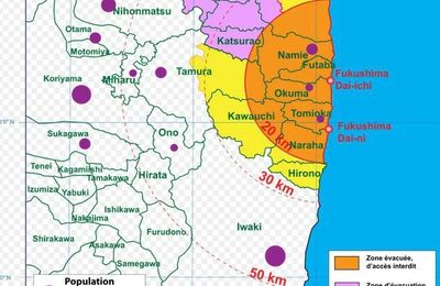 Fukushima, 4 ans après