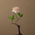 Ikebana by Toshiro Kawase