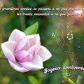 TRES BON MERCREDI à TOUTES et à TOUS !