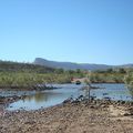 Field Work Experience - Mitchell River National Park
