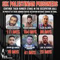 URGENT: le régime d'apartheid israélien laisse plusieurs prisonniers mourir de faim