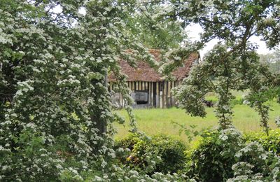 Randonnée