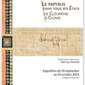 Le papyrus dans tous ses États