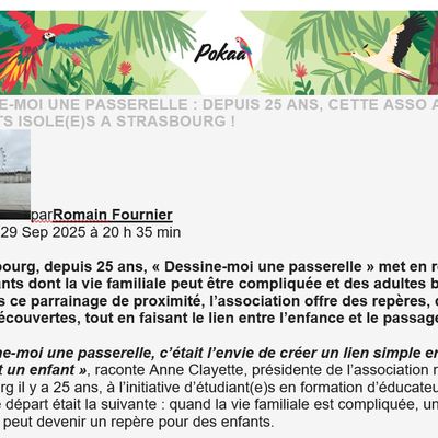 Dessine-moi une passerelle dans Pokaa