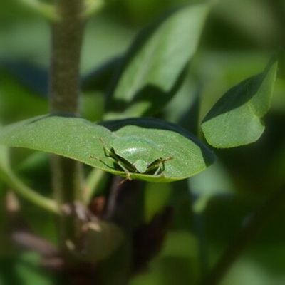 Et pendant ce temps… Après un début d’année