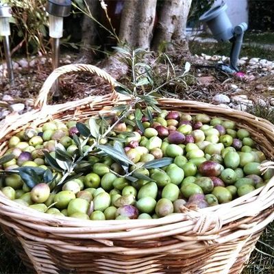 Petit retour en Arrière - Les Olives du jardin.