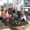 Le petit jardin de l'école