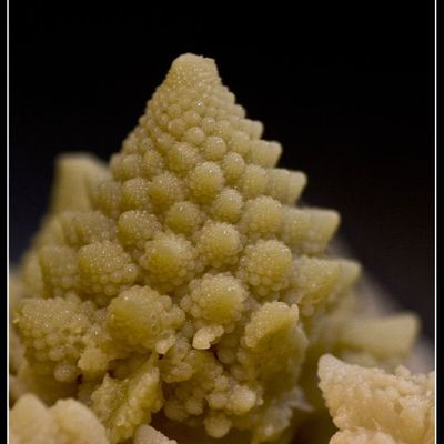 106/365, le 18 Janvier 2012