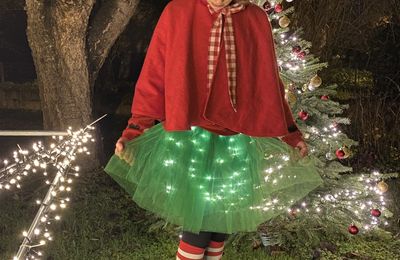 Lutin(e) de noël !