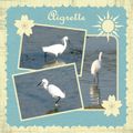 Montage aigrette